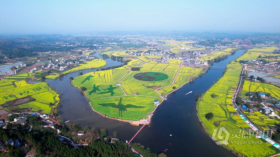 实拍视频素材-航拍震撼重庆潼南油菜花花海风景实拍视频素材  灵感中国网 www.lingganchina.com