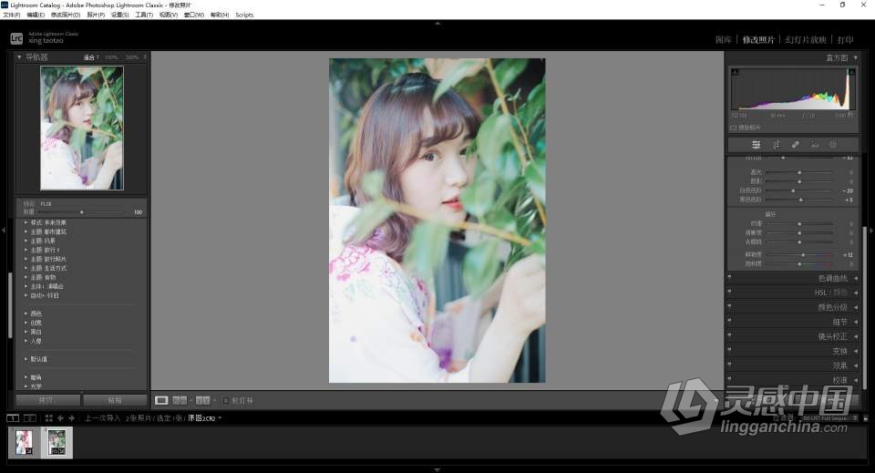 Adobe Lightroom Classic 2023 v12.0.0.13（10月版）Lr 2023 Win版本下载  灵感中国网 www.lingganchina.com