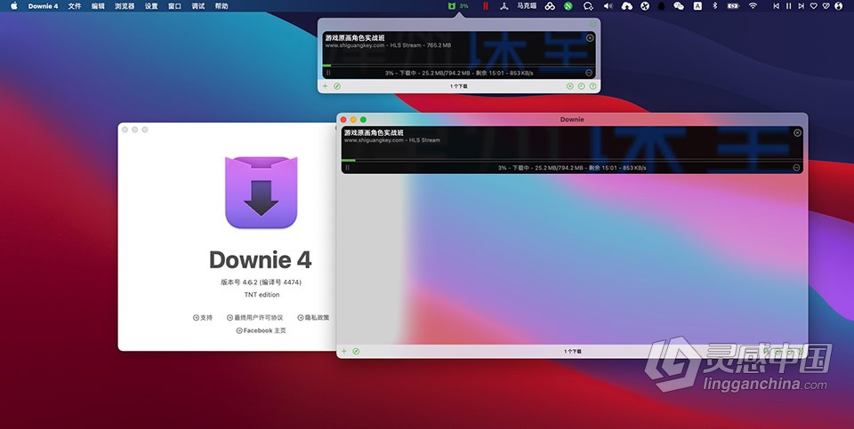 Mac电脑强大好用的在线视频下载软件 Downie 4.6.11(4533) 中文版下载  灵感中国网 www.lingganchina.com