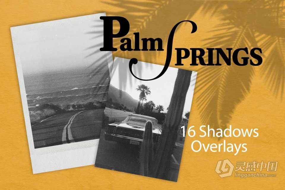 图片素材-16张高清海滩棕榈树阴影倒影叠加合成设计素材 Palm Spring|Shadow Overlays  灵感中国网 www.lingganchina.com