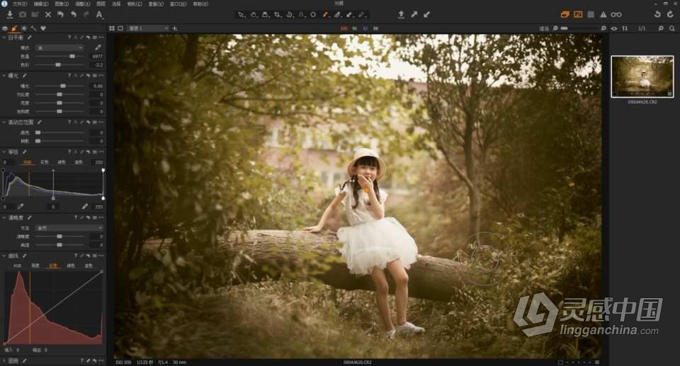 Capture One Pro 飞思 摄影后期影楼婚礼商业人像精修调色修图课程中文教程 带课件  灵感中国网 www.lingganchina.com