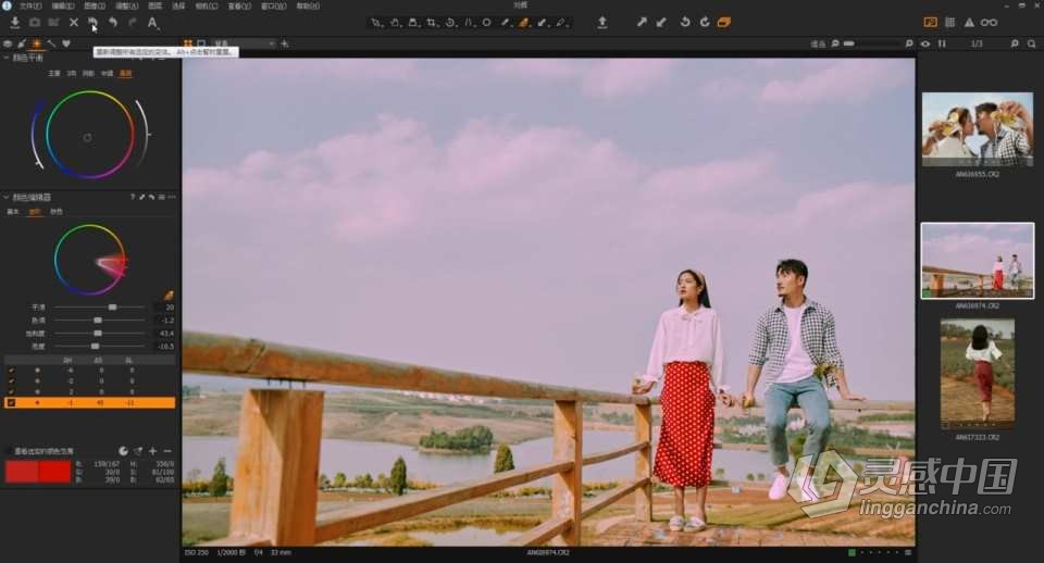 Capture One Pro 飞思 摄影后期影楼婚礼商业人像精修调色修图课程中文教程 带课件  灵感中国网 www.lingganchina.com