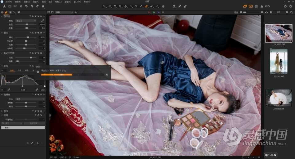 Capture One Pro 飞思 摄影后期影楼婚礼商业人像精修调色修图课程中文教程 带课件  灵感中国网 www.lingganchina.com