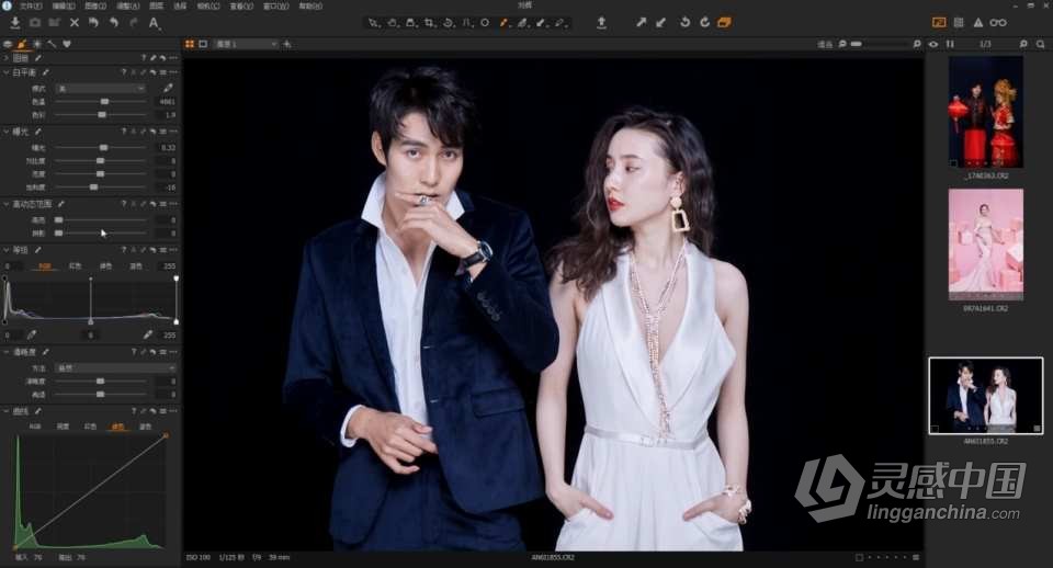 Capture One Pro 飞思 摄影后期影楼婚礼商业人像精修调色修图课程中文教程 带课件  灵感中国网 www.lingganchina.com