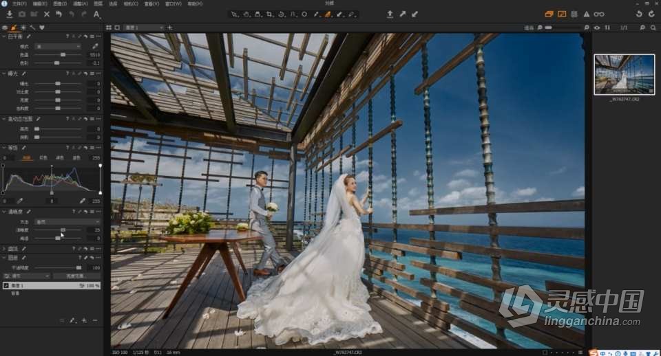 Capture One Pro 飞思 摄影后期影楼婚礼商业人像精修调色修图课程中文教程 带课件  灵感中国网 www.lingganchina.com