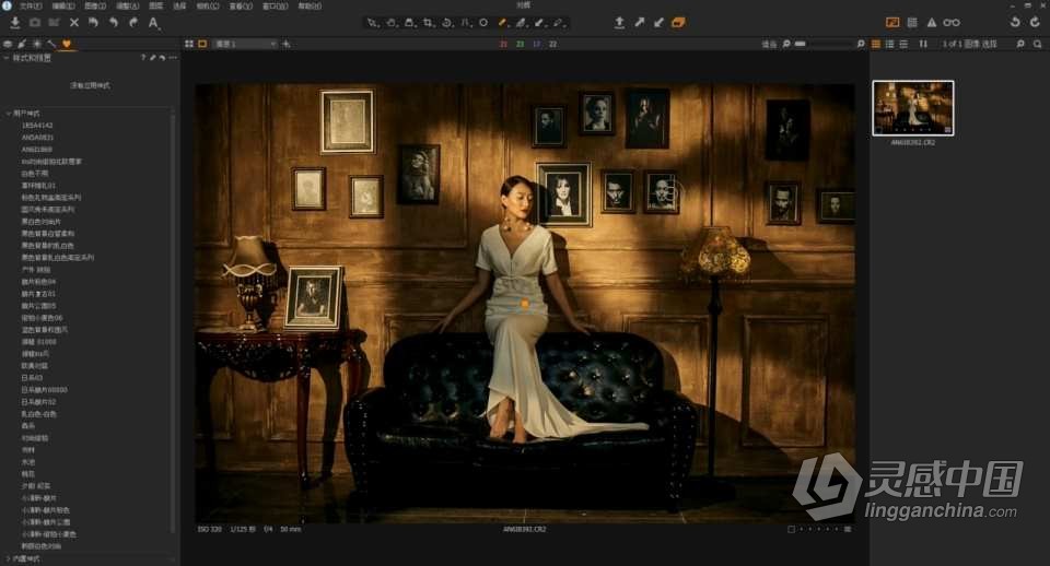 Capture One Pro 飞思 摄影后期影楼婚礼商业人像精修调色修图课程中文教程 带课件  灵感中国网 www.lingganchina.com