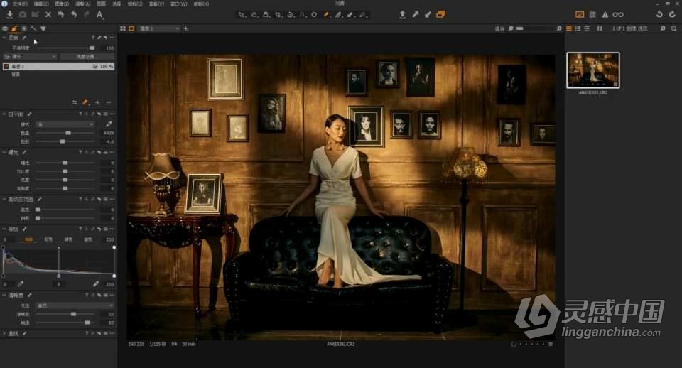 Capture One Pro 飞思 摄影后期影楼婚礼商业人像精修调色修图课程中文教程 带课件  灵感中国网 www.lingganchina.com