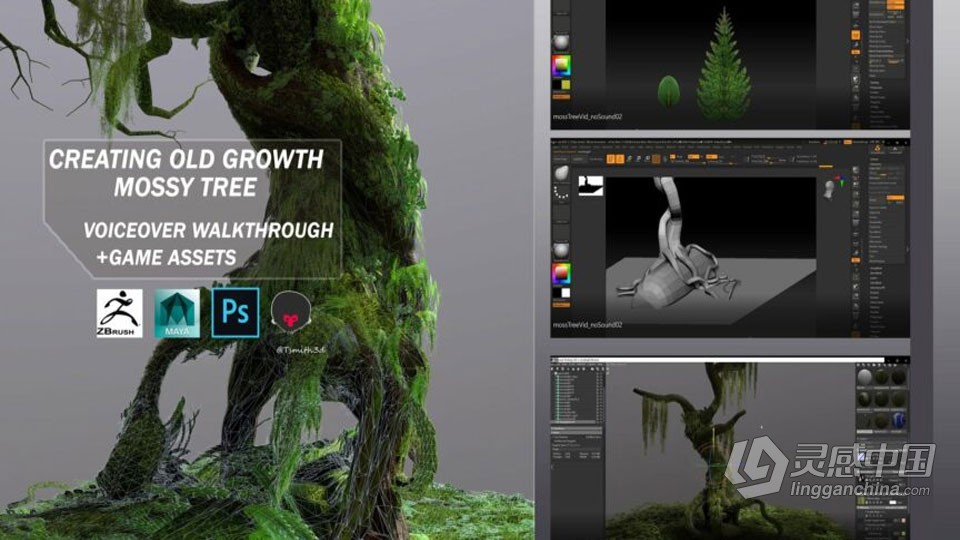 Zbrush古老苔藓树游戏资产制作全流程视频课程 中文字幕  灵感中国网 www.lingganchina.com
