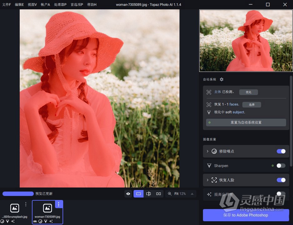 Topaz Photo AI v1.1.4 汉化版+AI模型 AI智能图像自动降噪锐化增强无损放大软件 WIN中文版  灵感中国网 www.lingganchina.com