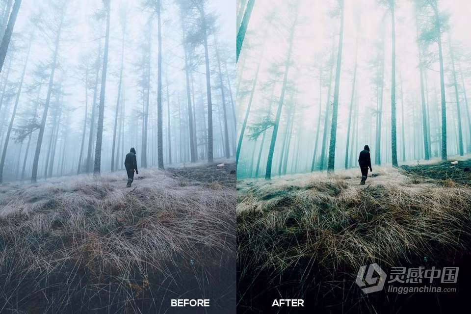 复古电影胶片后期调色Lightroom预设 Cinematic Film Lightroom Presets  灵感中国网 www.lingganchina.com