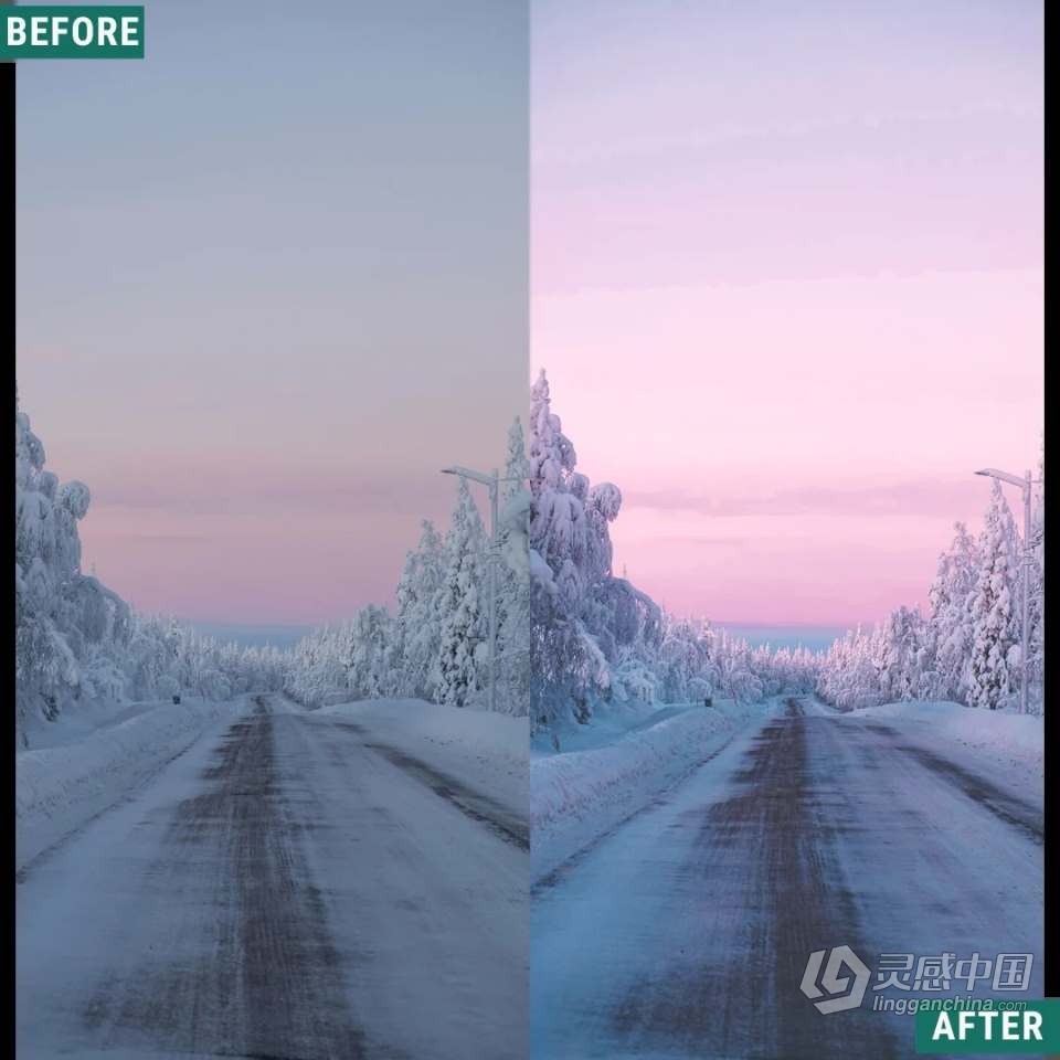 神秘梦幻自然摄影后期LR调色预设 Woodland - Winter Dawn Presets  灵感中国网 www.lingganchina.com