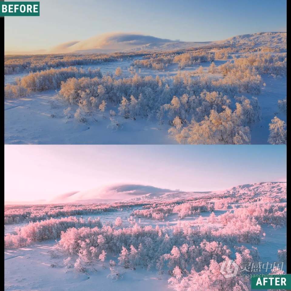 神秘梦幻自然摄影后期LR调色预设 Woodland - Winter Dawn Presets  灵感中国网 www.lingganchina.com