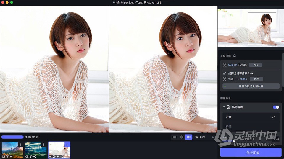 Topaz Photo AI v1.2.4 汉化版+AI模型 AI智能图像自动降噪锐化增强无损放大软件 Mac汉化中文版  灵感中国网 www.lingganchina.com