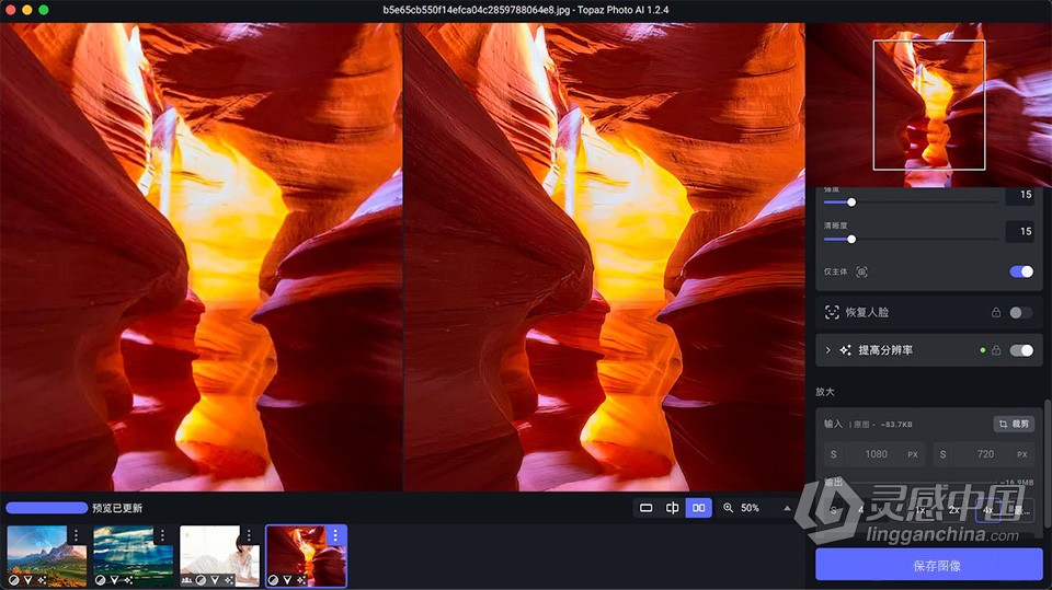 Topaz Photo AI v1.2.4 汉化版+AI模型 AI智能图像自动降噪锐化增强无损放大软件 Mac汉化中文版  灵感中国网 www.lingganchina.com