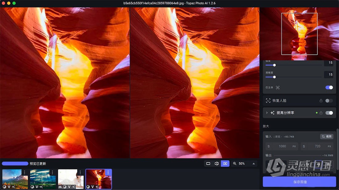 Topaz Photo AI v1.2.6 汉化版+AI模型 AI智能图像自动降噪锐化增强无损放大软件 Mac汉化中文版  灵感中国网 www.lingganchina.com