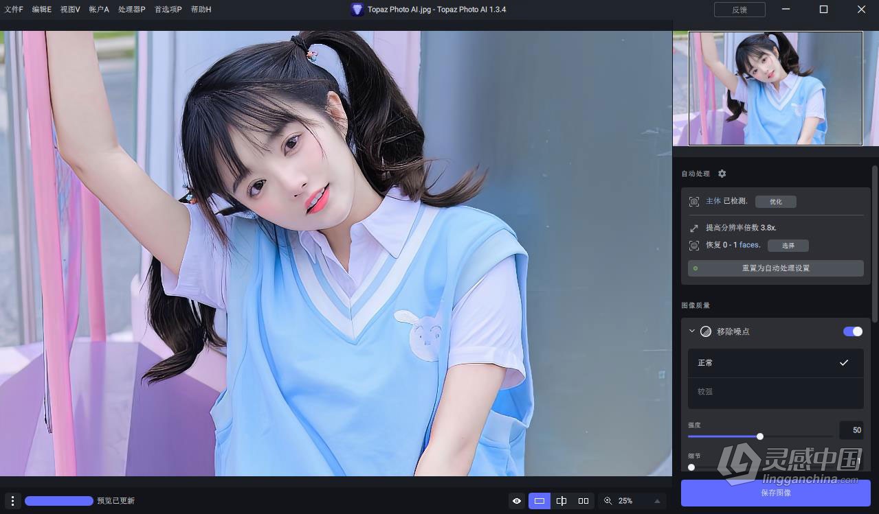 Topaz Photo AI v1.3.4 汉化版+AI模型 AI智能图像自动降噪锐化增强无损放大软件 WIN汉化中文版  灵感中国网 www.lingganchina.com