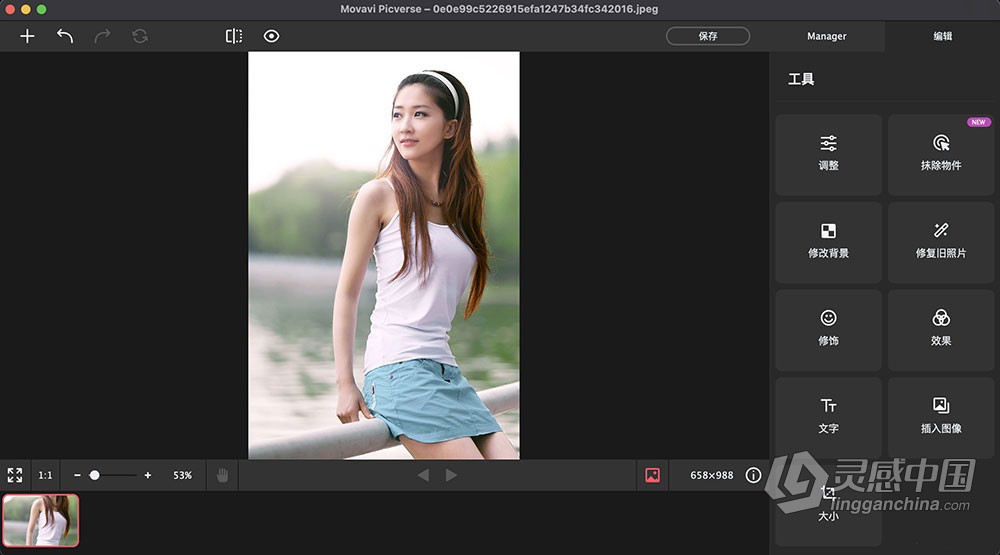 人工智能照片编辑调色修图软件 Movavi Picverse 1.11.0 Mac中文汉化版 多国语言版本  灵感中国网 www.lingganchina.com