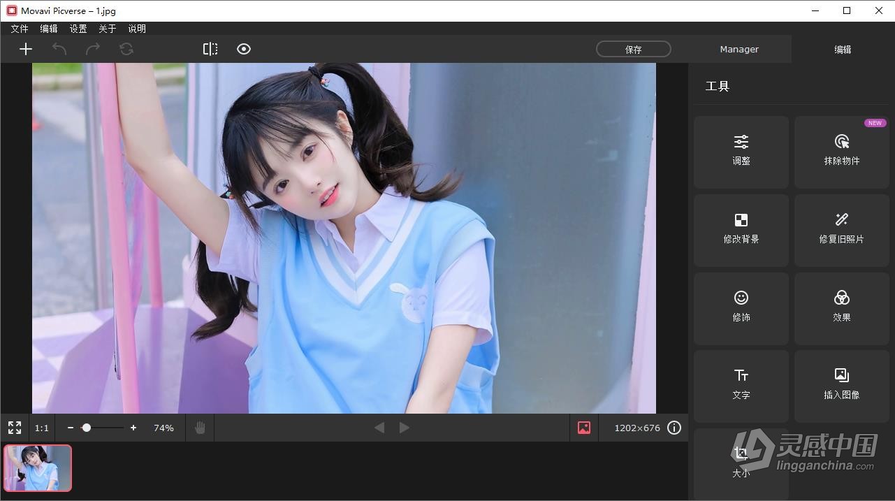 人工智能照片编辑调色修图软件 Movavi Picverse 1.11.0 WIN中文汉化版 多国语言版本  灵感中国网 www.lingganchina.com