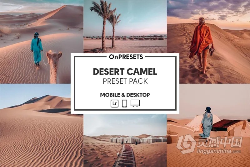 旅拍沙漠风光摄影后期调色Lightroom预设 OnPresets-DESERT CAMEL  灵感中国网 www.lingganchina.com