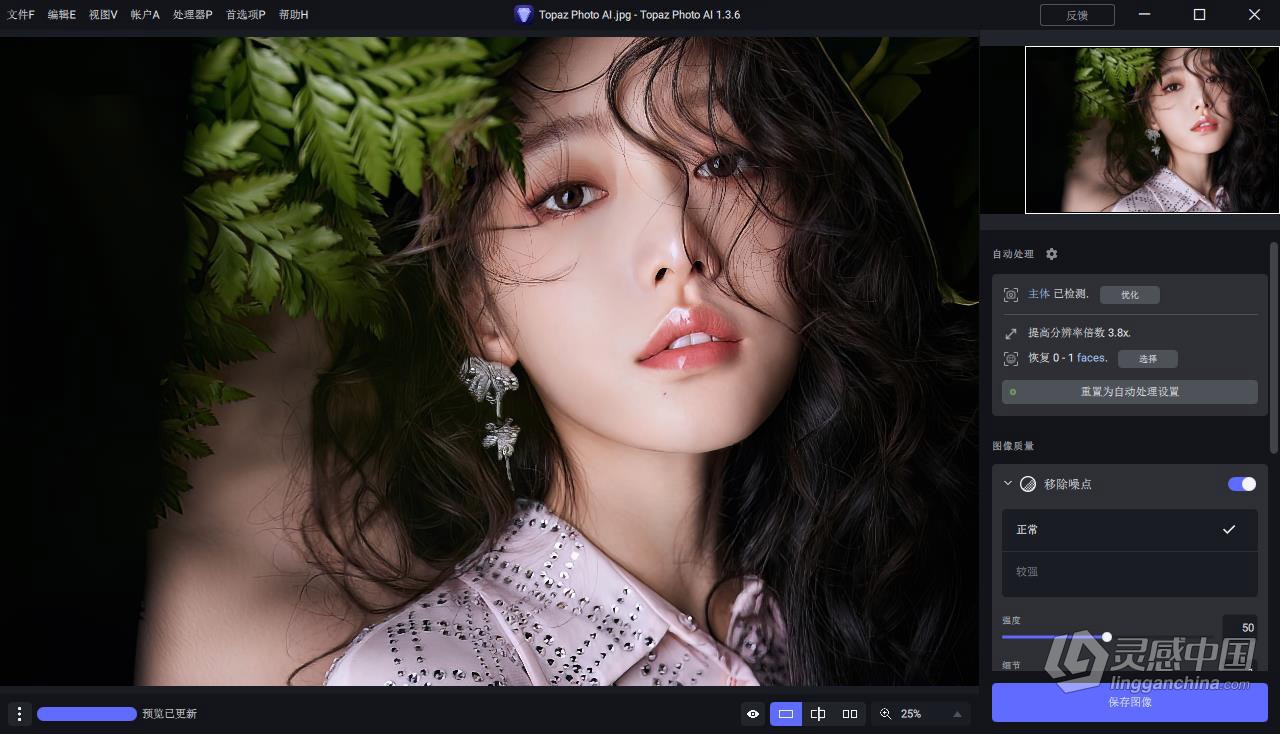 Topaz Photo AI v1.3.6 汉化版+AI模型 AI智能图像自动降噪锐化增强无损放大软件 WIN汉化中文版  灵感中国网 www.lingganchina.com