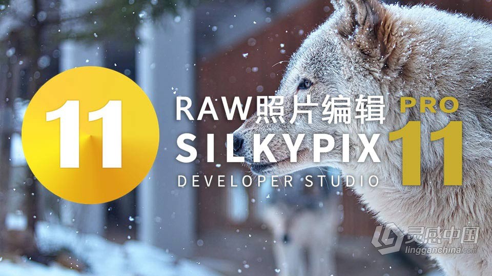 RAW照片编辑软件 SILKYPIX Developer Studio Pro 11.0.10.0 中文汉化版 Mac系统下载  灵感中国网 www.lingganchina.com