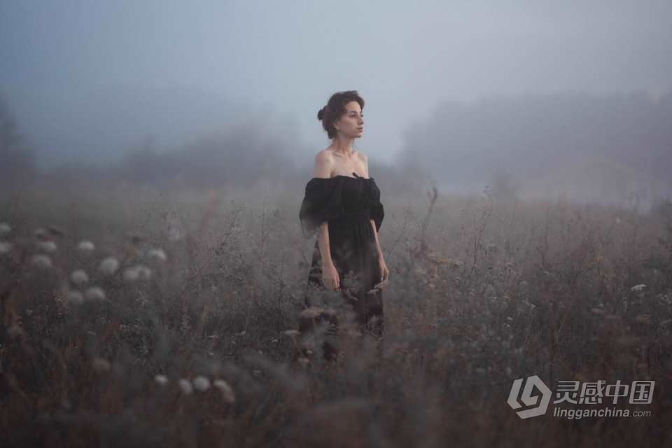 乌克兰摄影师 Aleksandr Kurennoi 人像LR预设 Frozen Portrait Presets  灵感中国网 www.lingganchina.com