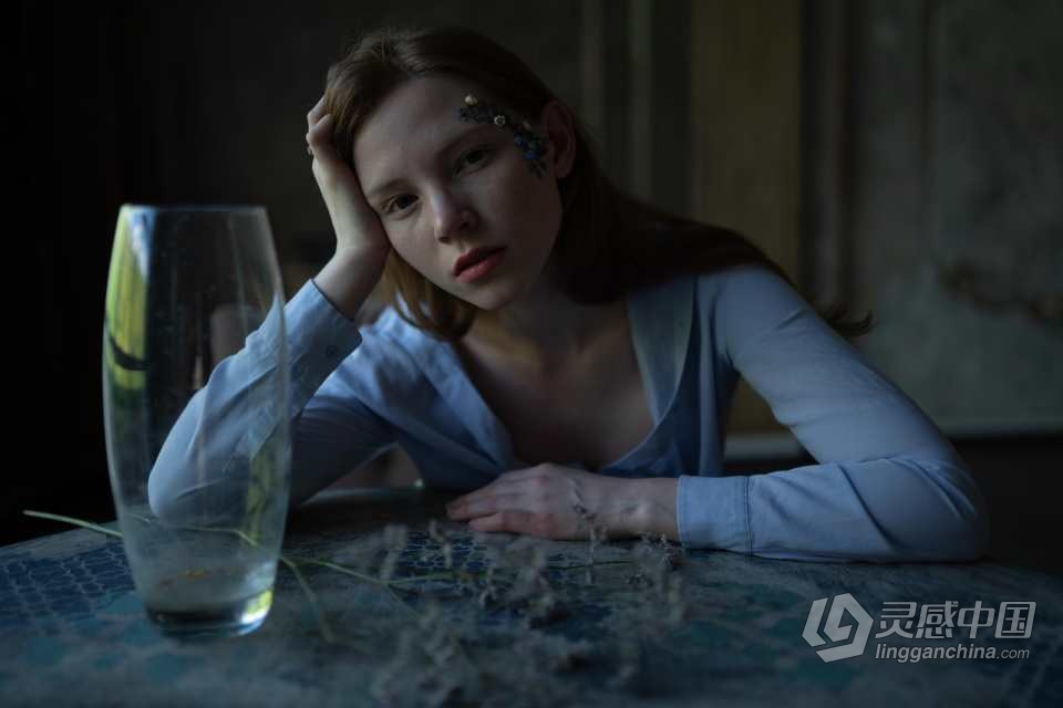 乌克兰摄影师 Aleksandr Kurennoi 人像LR预设 Frozen Portrait Presets  灵感中国网 www.lingganchina.com