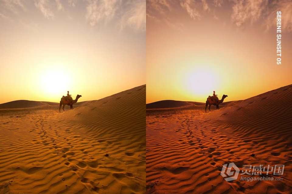 25个沙漠骆驼旅行摄影Lightroom预设及电影视频PR调色LUT预设  灵感中国网 www.lingganchina.com