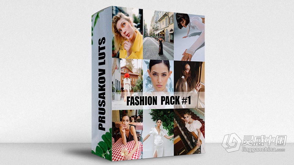 Arseniy Prusakov 时尚人像预设包 Arseniy Prusakov - FASHION PACK (2022)  灵感中国网 www.lingganchina.com