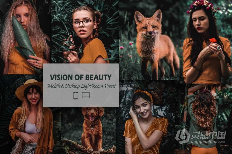 黑暗情绪森系人像Lightroom预设 12 Mobile Lightroom, Vision of Beauty  灵感中国网 www.lingganchina.com