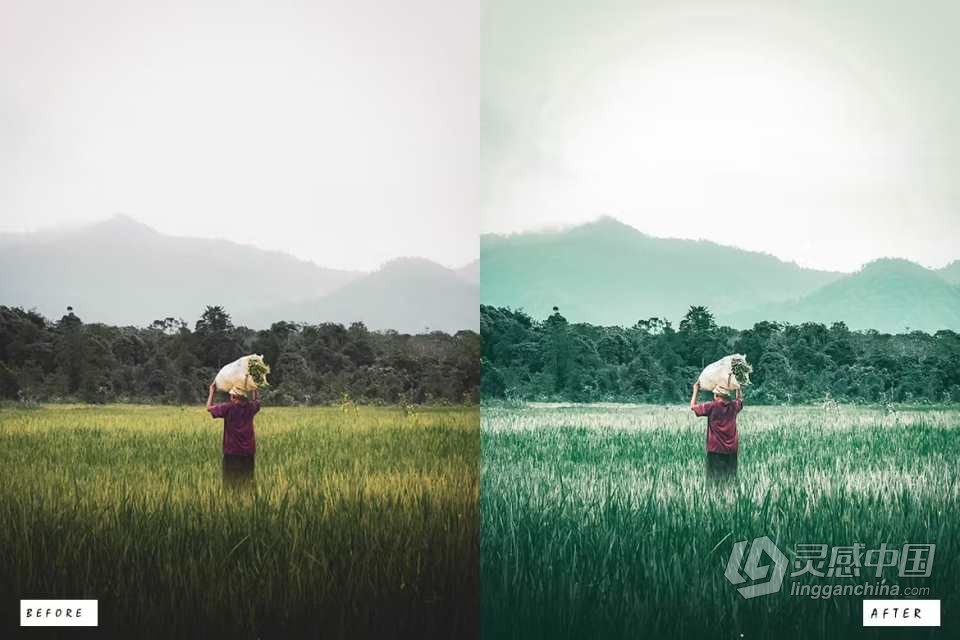 浓郁绿色胶片人像Lightroom预设 Rich Green Premium Lightroom Presets  灵感中国网 www.lingganchina.com