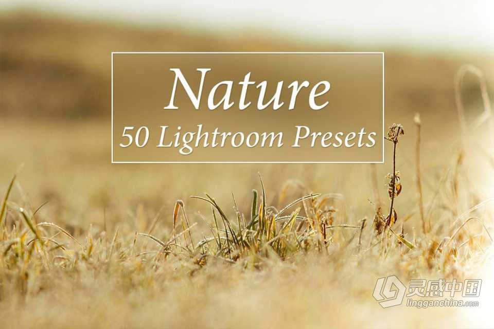 50组自然风光调色Lightroom预设 50 Nature Lightroom Presets  灵感中国网 www.lingganchina.com