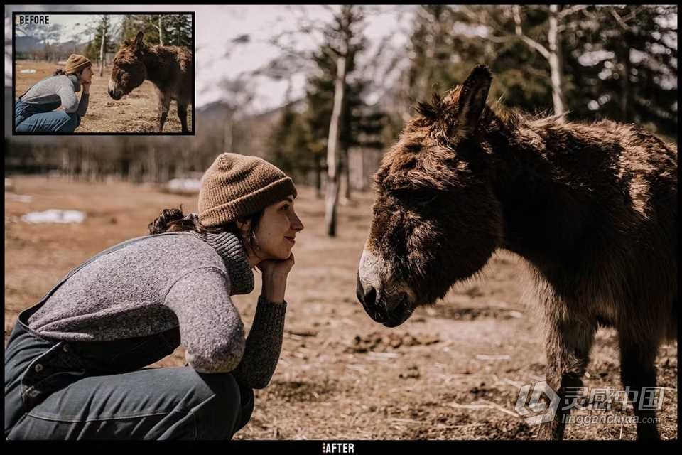 复古HDR麻烦Lightroom预设 Vintage HDR - Lightroom Presets  灵感中国网 www.lingganchina.com