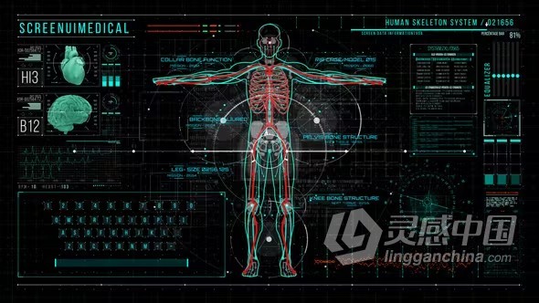 人体HUD700屏幕界面AI医疗医学主题元素AE模板下载 HUD700 Screen MEDICAL4  灵感中国网 www.lingganchina.com