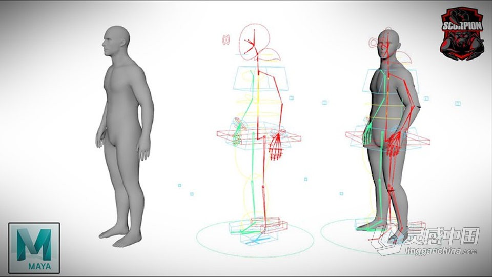 Maya人物角色快速绑定动画进阶技术训练视频教程  灵感中国网 www.lingganchina.com
