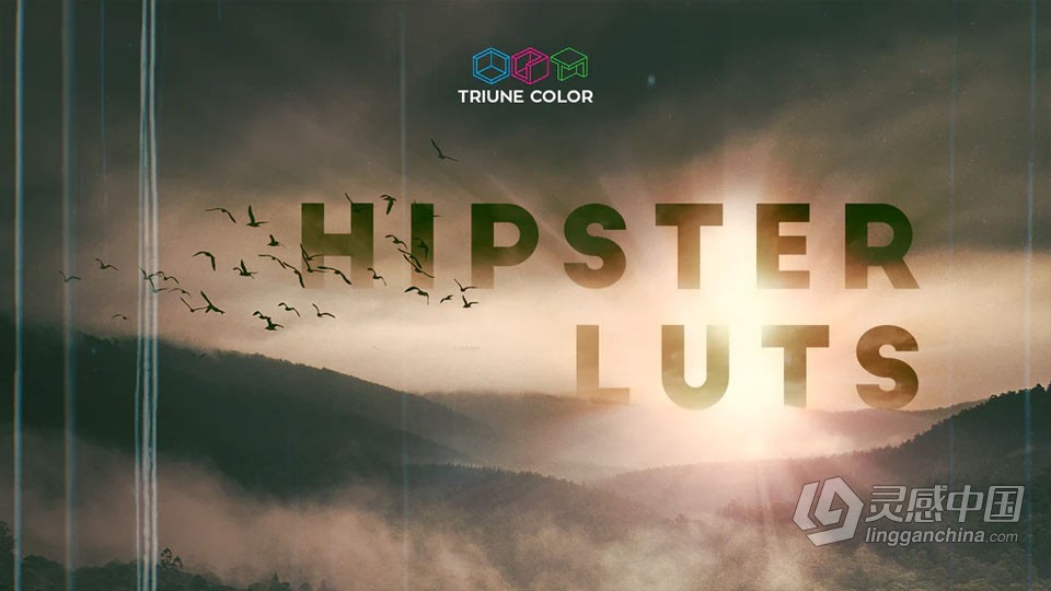 35组时髦文艺青年电影调色LUT预设 Triune Digital – Hipster LUTs  灵感中国网 www.lingganchina.com