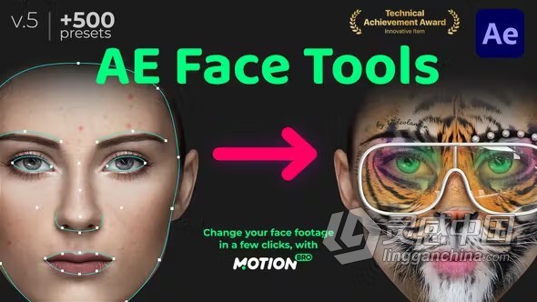 AE脚本Face Tools V5 人脸面部追踪贴图表情化妆美颜丑化换脸锁定变形特效预设工具 附使用教程  灵感中国网 www.lingganchina.com