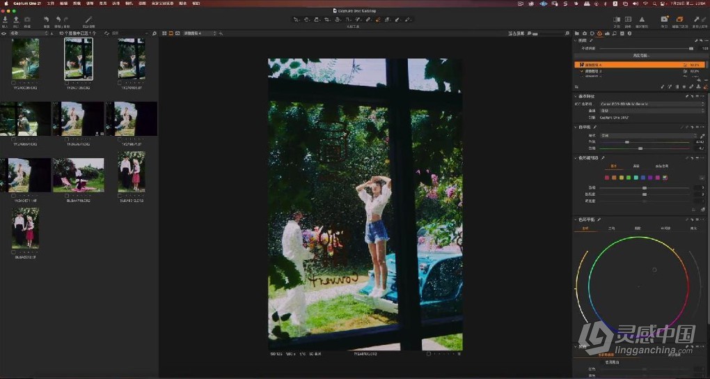 亲切第一张蕾Capture One第二期+C1专题课程+LR色彩美学课程  灵感中国网 www.lingganchina.com