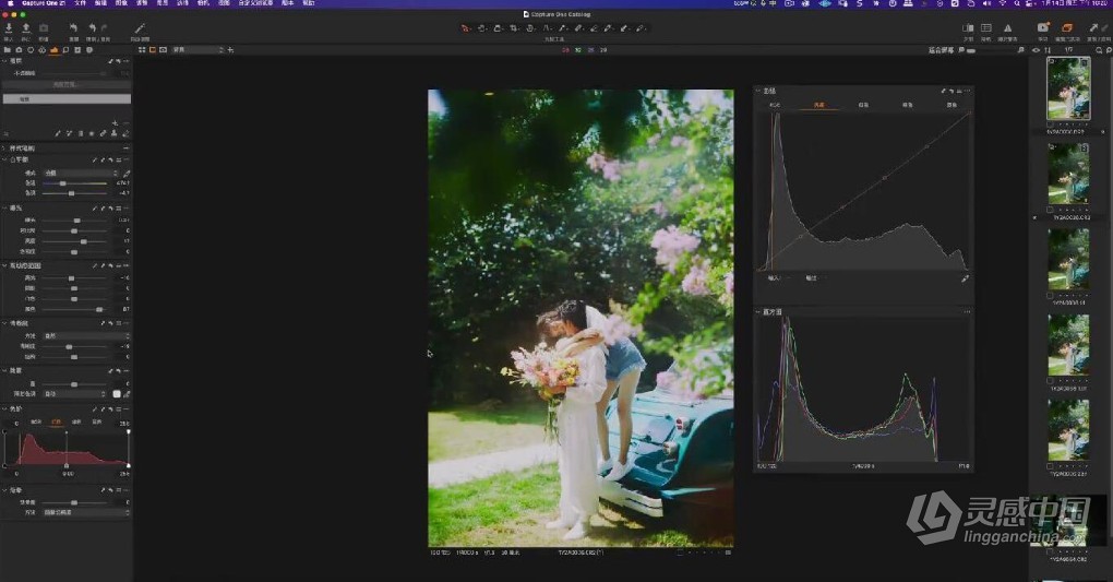 亲切第一张蕾Capture One第二期+C1专题课程+LR色彩美学课程  灵感中国网 www.lingganchina.com