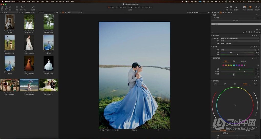 亲切第一张蕾Capture One第二期+C1专题课程+LR色彩美学课程  灵感中国网 www.lingganchina.com