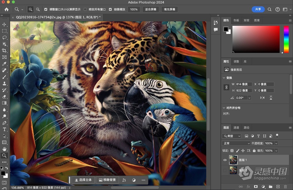 Adobe Photoshop 2024 v25.7（24年4月版）PS 2024正式版 Mac版本下载 支持intel/M1/M2/M3  灵感中国网 www.lingganchina.com