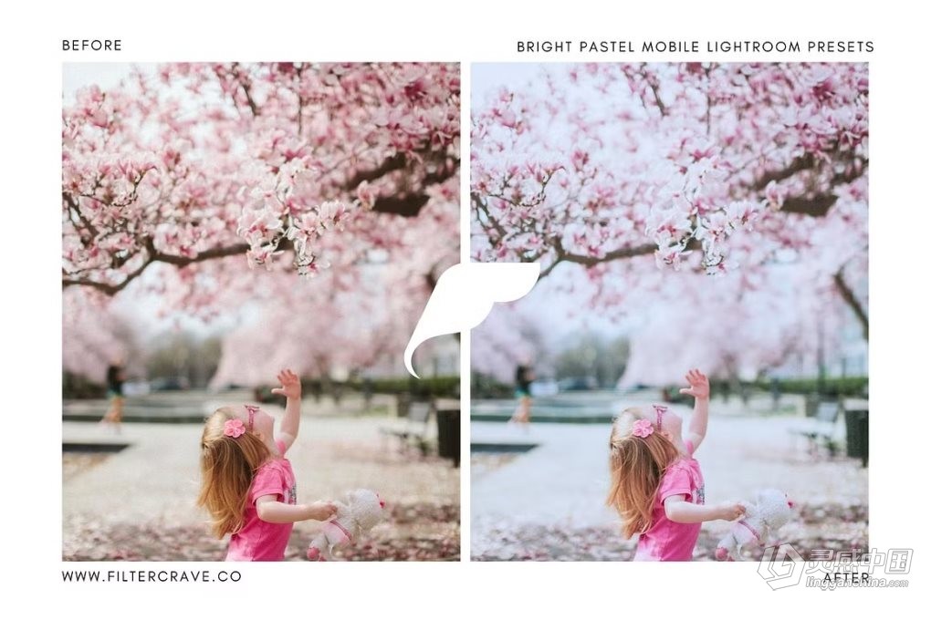 5款明亮柔和清新日系风格摄影后期调色Lightroom预设 Bright Pastel Lightroom Presets  灵感中国网 www.lingganchina.com