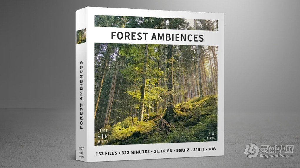 133个中欧森林自然四季宁静纯粹鸣禽树木背景氛围无损音效 Just Sound Effects – Forest Ambiences  灵感中国网 www.lingganchina.com