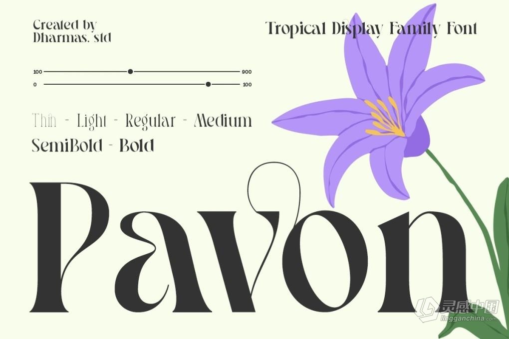 优雅浪漫精致艺术创意海报品牌标题LOGO设计英文衬线字体 Pavon – Tropical Display Family  灵感中国网 www.lingganchina.com