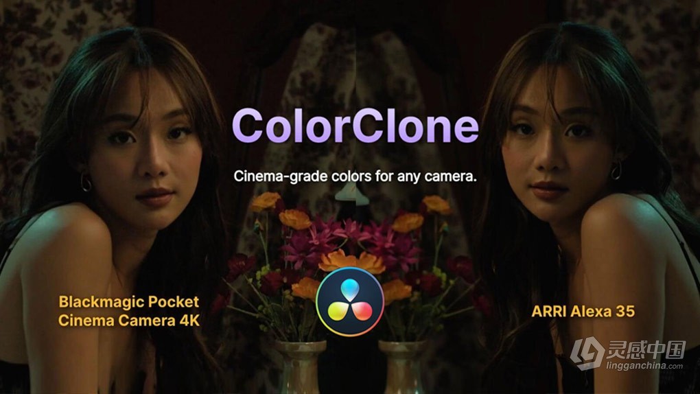 相机色彩快速高精度匹配达芬奇插件 Filmatic AI – ColorClone v1.1.1 Win版 + 使用教程  灵感中国网 www.lingganchina.com