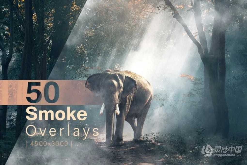 50张晨曦朦胧薄雾烟雾艺术氛围增强照片叠加图片素材 Smoke Overlays  灵感中国网 www.lingganchina.com