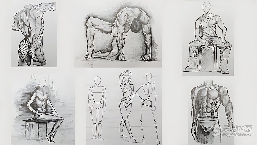 人体解剖学人物铅笔素描绘画技术训练视频教程 Figure Drawing Course From Beginner to Advanced  灵感中国网 www.lingganchina.com