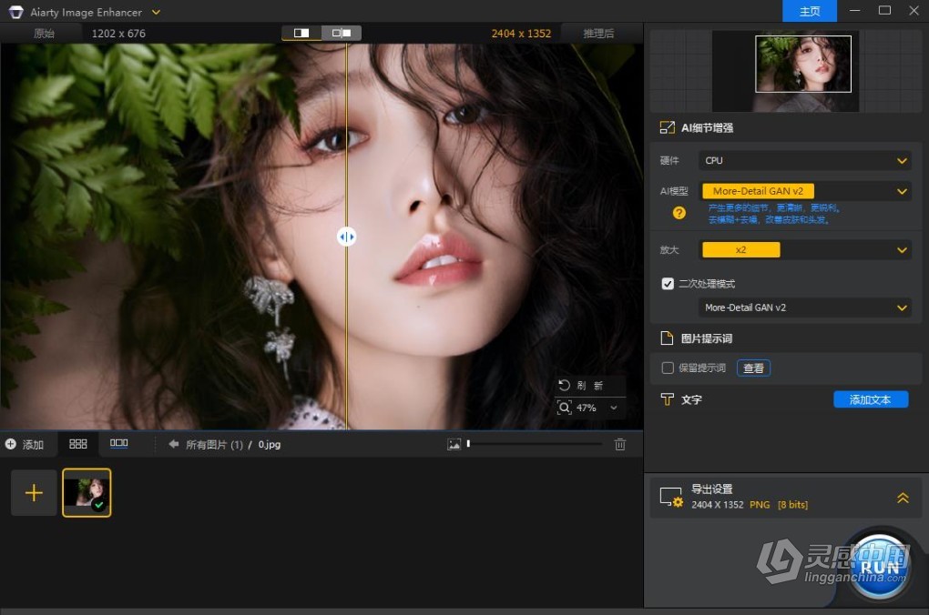 智能AI图像优化细节修复画质增强无损放大照片生成处理软件 Aiarty Image Enhancer v2.5 中文版  灵感中国网 www.lingganchina.com