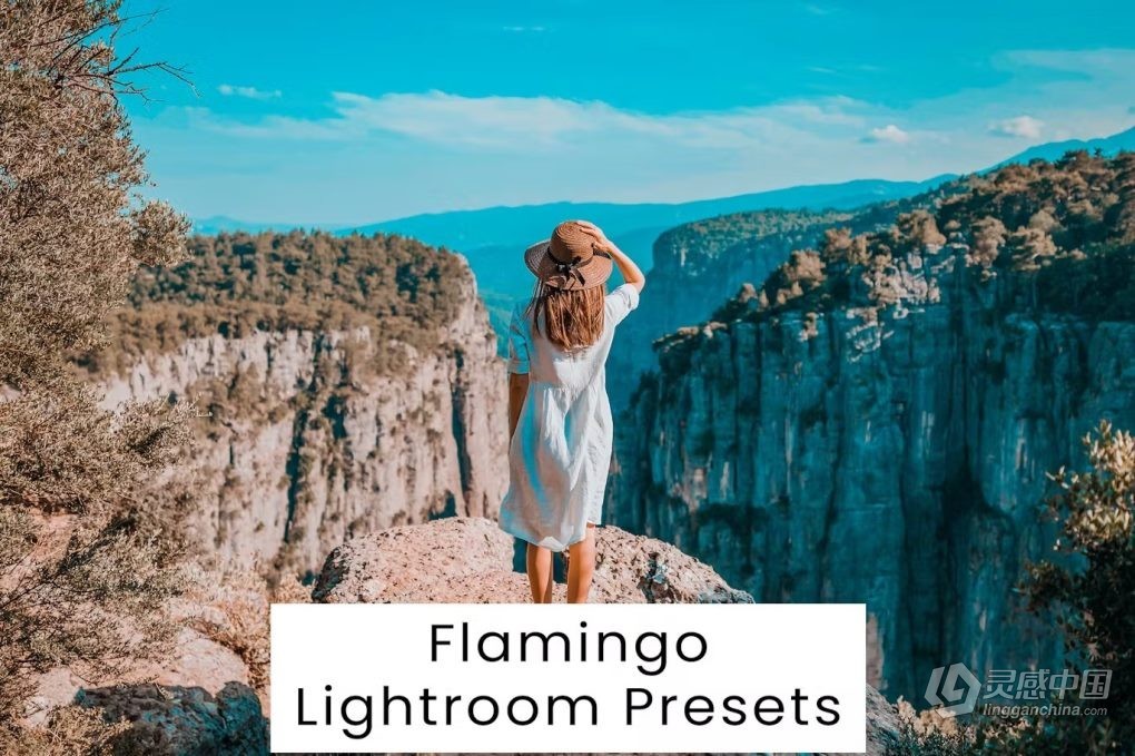 热带旅拍电影风光LR预设 Flamingo Lightroom Presets  灵感中国网 www.lingganchina.com