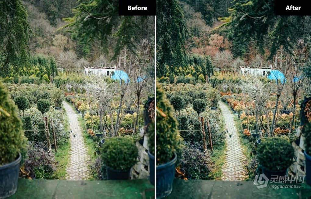 6种花园绿色调风光LR调色预设 Garden Bliss Lightroom Presets  灵感中国网 www.lingganchina.com